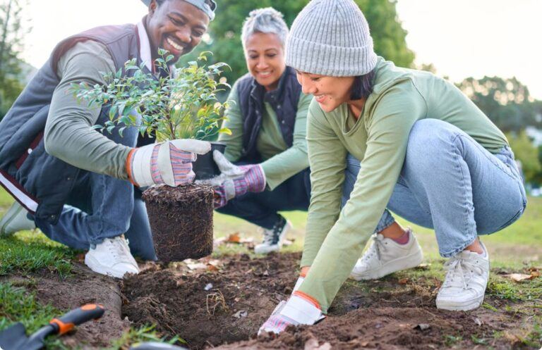 group of people planting trees